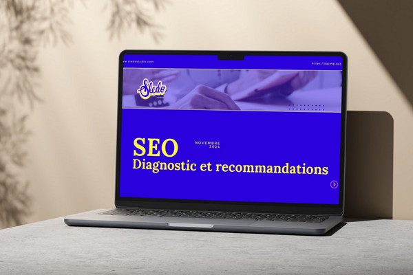 Audit SEO Sledo Studio
